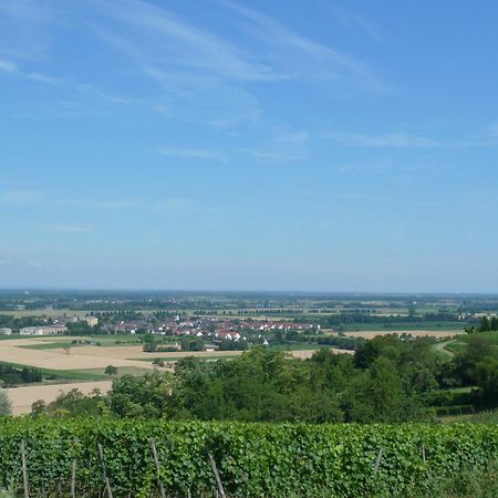 Schwarzwaldturmzimmer Lahr Buitenkant foto